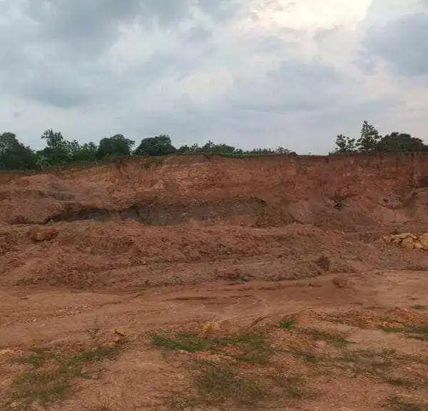 Batubara Ilegal Menggila di Telogo Agung, Tuban: Negara Absen, Lingkungan Dikorbankan