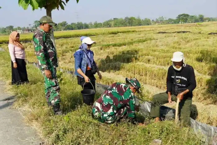 Pembinaan Lingkungan Hidup, Kodim Bojonegoro Tanam Ribuan Pohon Kayu Putih dan Balsa