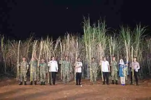 Lanud Sultan Hasanuddin Gelar Panen Raya Tebu Serentak di Takalar, Dukung Ketahanan Pangan Nasional