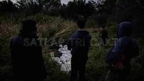 Satlap Tri Cakti dan Satgas Gabungan Berhasil Gagalkan Upaya Penyelundupan 1.040 KG Bijih Timah Ilegal di Pantai Kelambui, Bangka Selatan