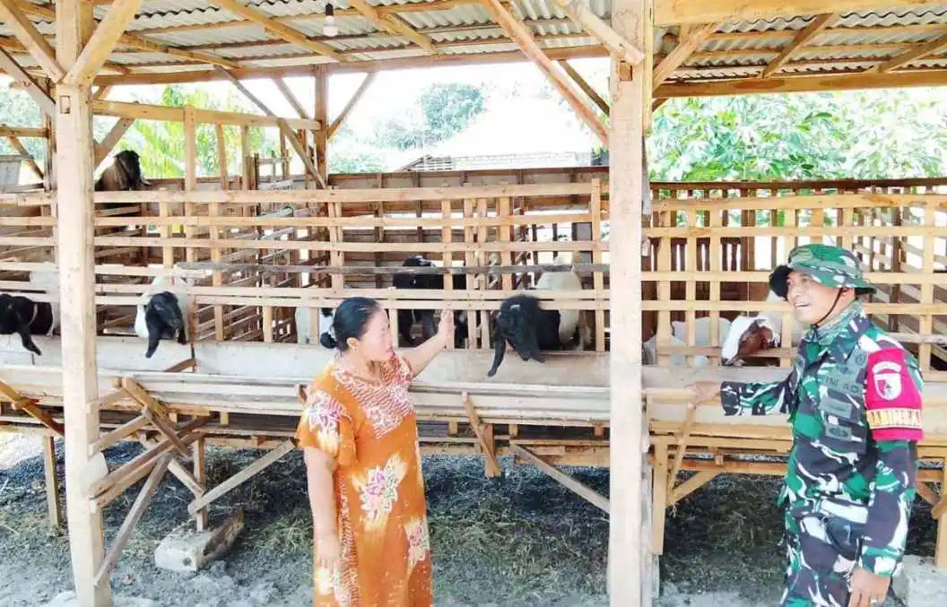 TMMD 129 Bojonegoro: Babinsa Kesongo ‘Sentuh Hati’ Peternak Kambing