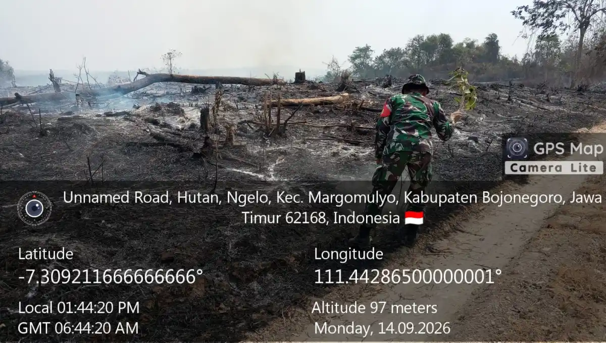 Aksi Cepat Tanggap! Babinsa Margomulyo Sisir Bekas Karhutla, Pastikan Api Benar-Benar Padam