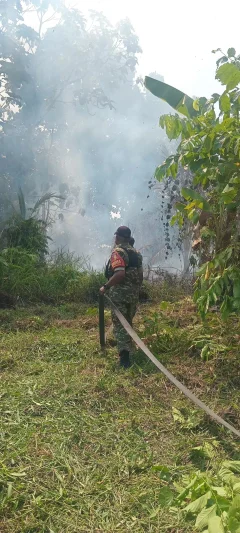 Respons Cepat, Babinsa Koramil 03/Maba Bersama Damkar Padamkan Karhutla 