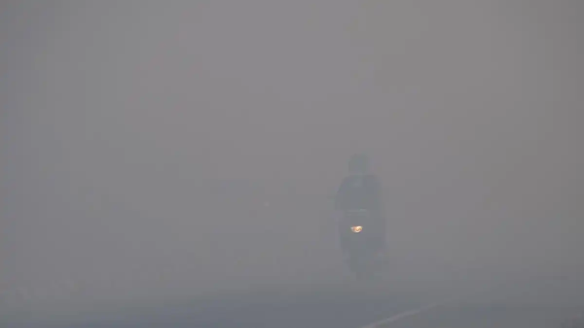 PM2.5 Palembang Capai 903,6 µg/m³, BMKG Peringatkan Bahaya Kesehatan