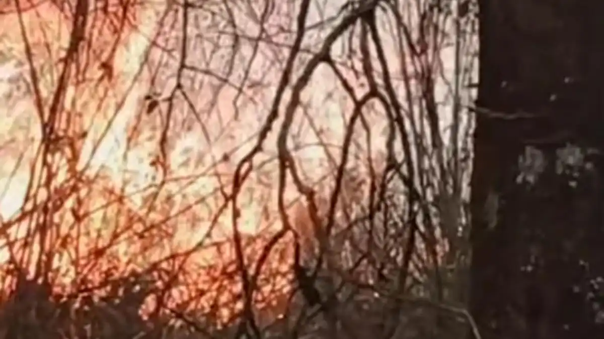 Kebakaran Hutan di Lereng Lawu Meluas, Pemadaman Terkendala Angin dan Medan Terjal