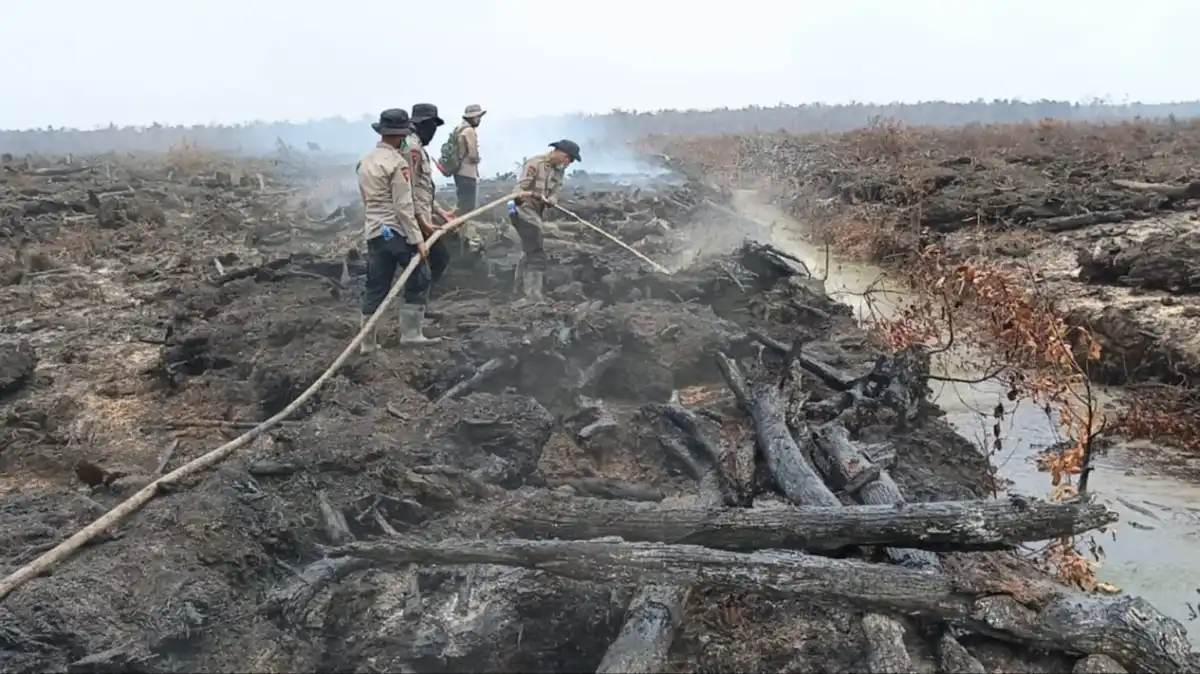 799 Titik Panas Karhutla Terdeteksi, Kenaikan Terbesar Terjadi di Kalimantan Tengah