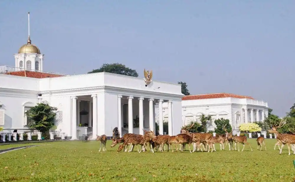 Prabowo Dijadwalkan Bertemu Kabinet Merah Putih di Istana Bogor