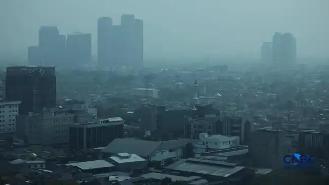 Asap Karhutla Kalimantan Terpantau di Jakarta, Ini Penjelasan Meteorologisnya