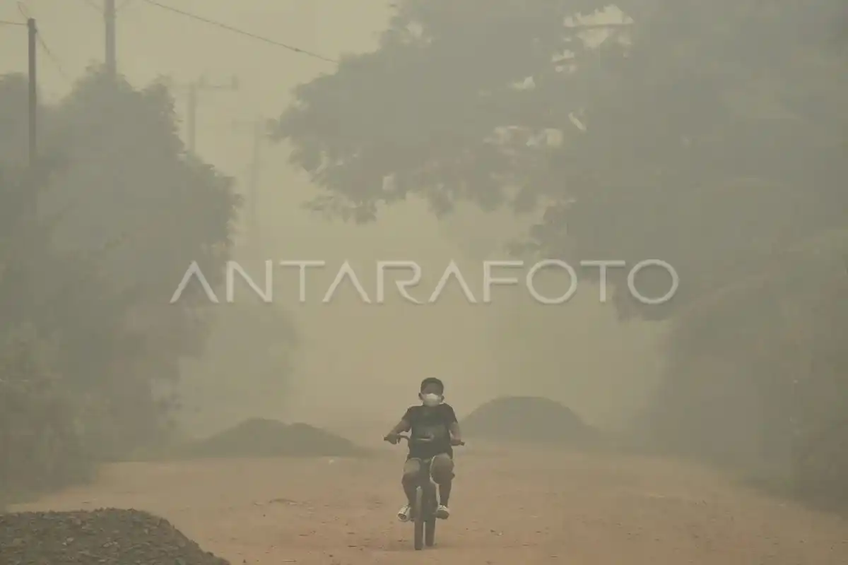 Karhutla dan Dampaknya: Dari Jakarta hingga Lukisan Purba di Sulawesi Selatan