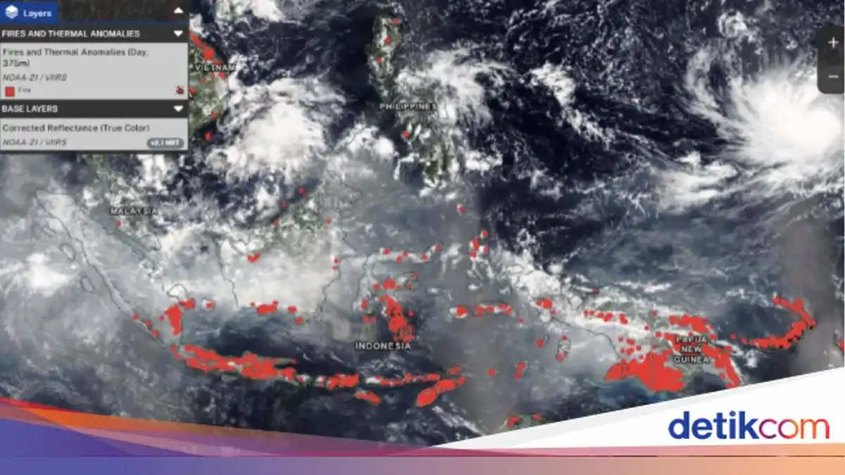 Pantauan NASA Ungkap Sebaran Titik Panas dan Asap Karhutla di Indonesia