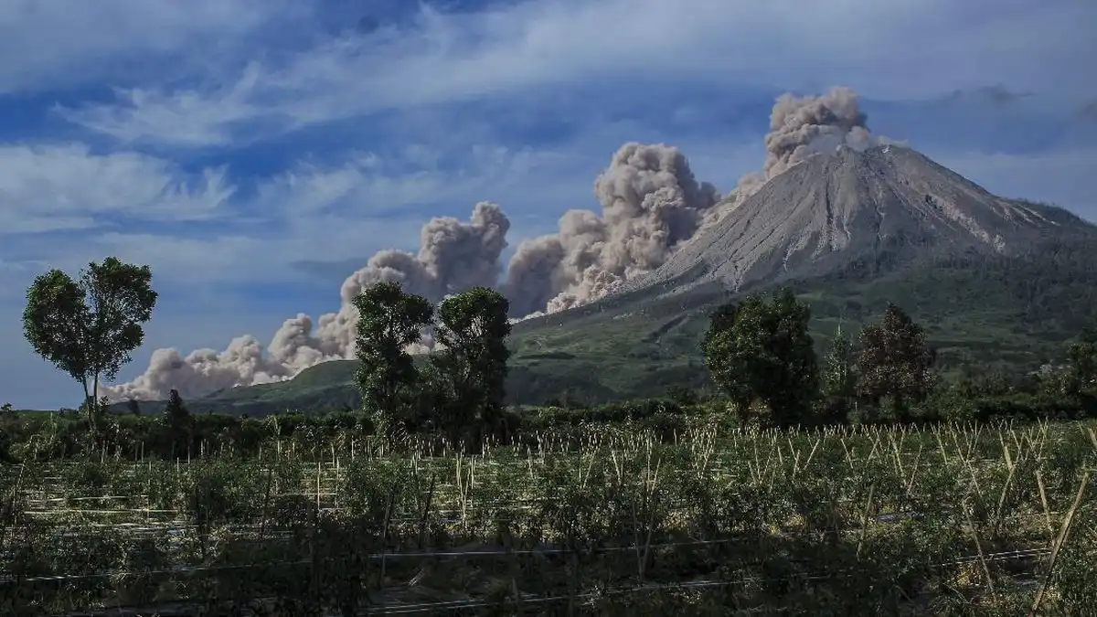 Aktivitas Mereda, Status Gunung Sinabung Turun ke Level