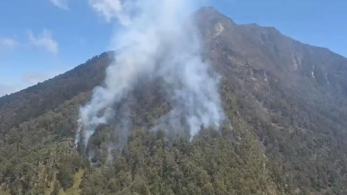 Karhutla Kembali Terjadi di Gunung Arjuno, Tim Bergerak Memadamkan Api