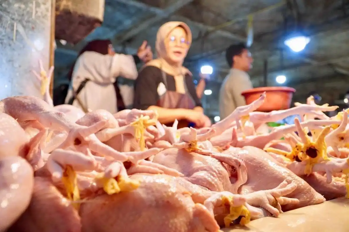 Harga Ayam Tak Seimbang, DPR dan Pemerintah Minta Rantai Distribusi Ditelusuri