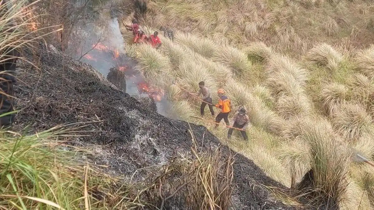 Empat Petugas Gugur Saat Berupaya Mencegah Api Bromo Mendekati Permukiman