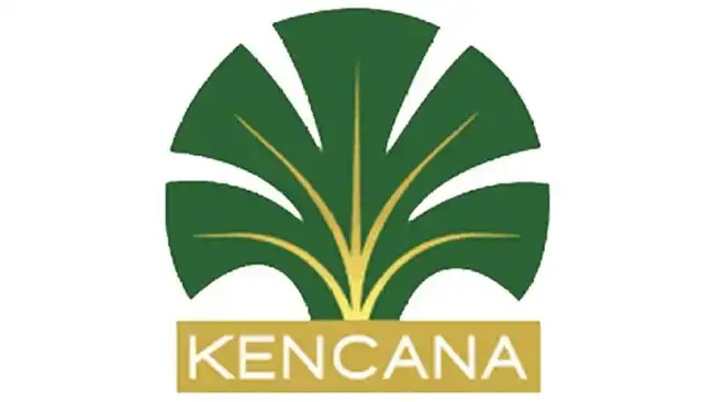 Kebakaran di Konsesi Kalimantan Utara, Kencana Agri Sampaikan Tanggapan dan Langkah Penanganan