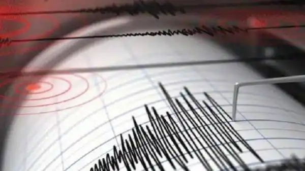 Gempa Magnitudo 3,1 Berpusat di Darat Timur Laut Mamuju Tengah