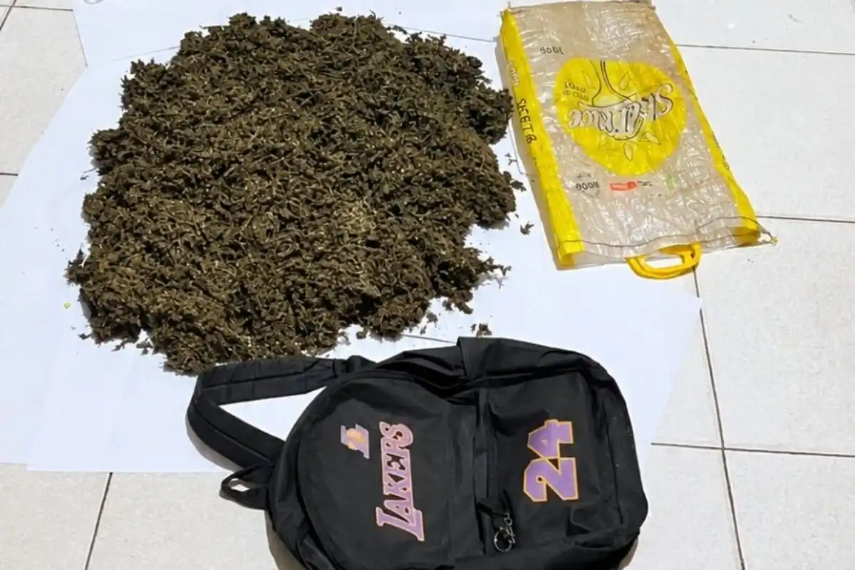 Penangkapan di Pelabuhan Jayapura Ungkap Jalur Ganja Menuju Sorong