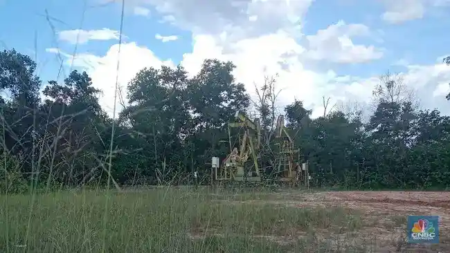 Lapangan Migas Menua, SKK Migas Andalkan Pengeboran dan Eksplorasi