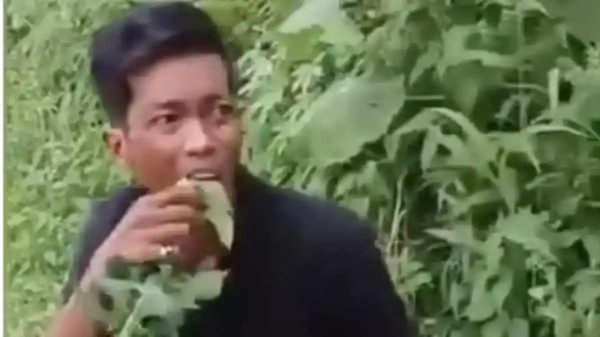 Dugaan Pencurian Pepaya di Deli Serdang, Polisi Masih Memeriksa Saksi