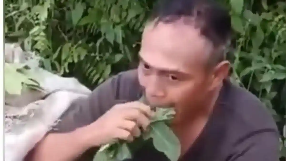 Dua Pria Diduga Mengambil Daun Pepaya di Deli Serdang, Polisi Klarifikasi Peristiwa Viral