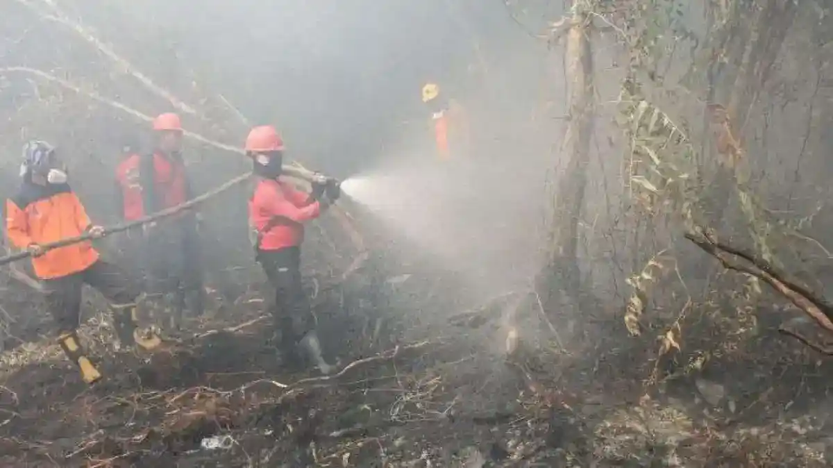 BPBD Bali Pastikan Asap Karhutla Belum Menjangkau Pulau Dewata