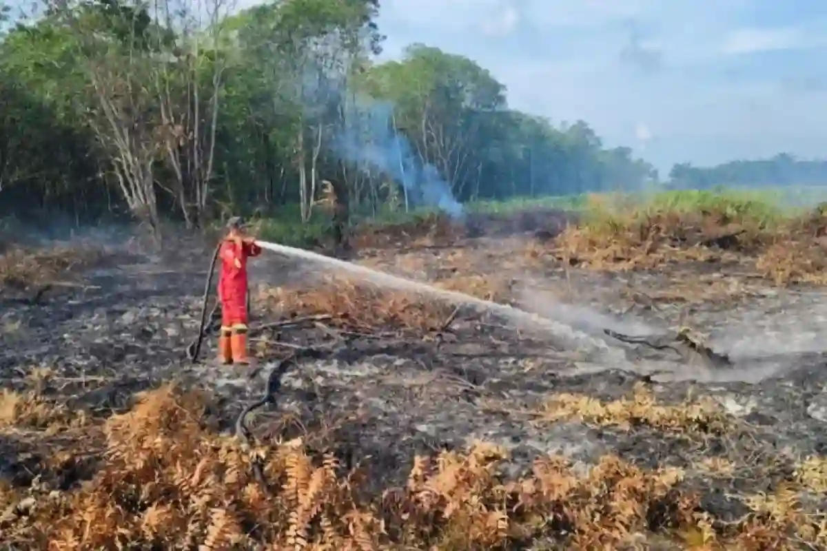 Pelaku Usaha Hadapi Risiko El Niño, Kadin Soroti Kesiapan terhadap Bencana