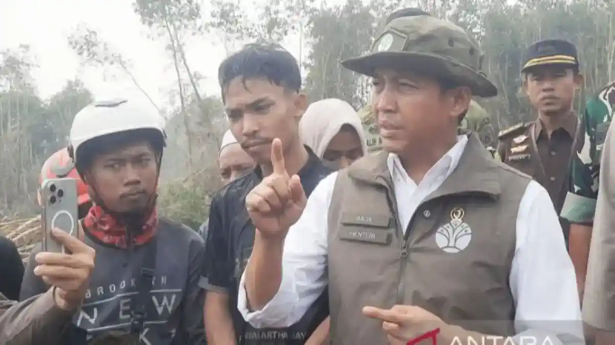 Empat Kendaraan dalam LHKPN Raja Juli: Rincian Nilai dan Jenisnya