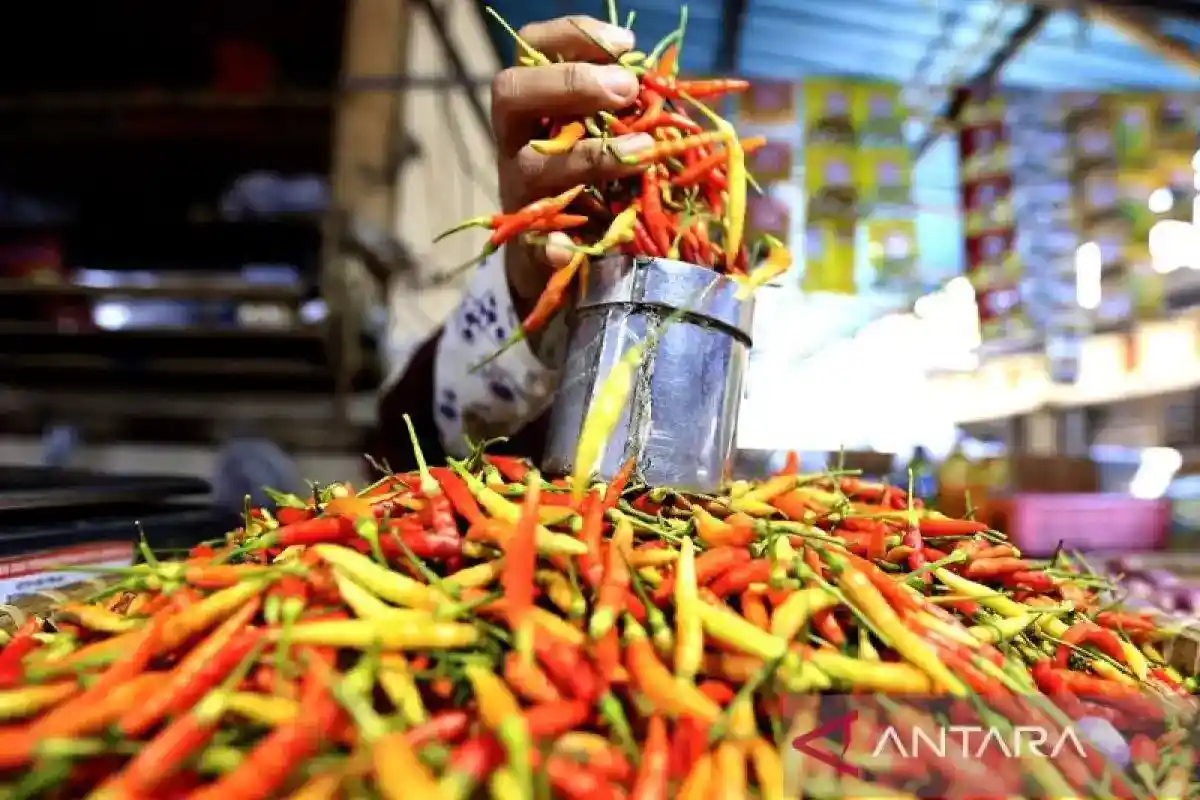 Potret Harga Pangan Nasional: Cabai Rawit Merah Rp105.750 per Kilogram