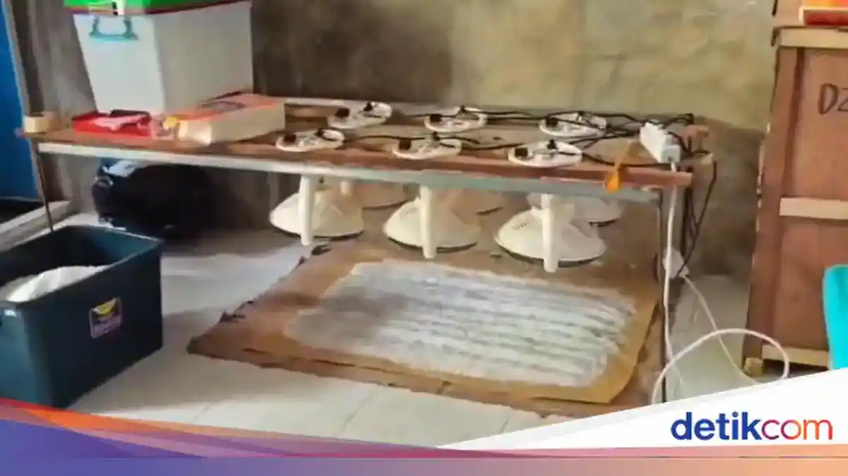 Pengungkapan di Aceh dan Belawan Ungkap Dua Operasi Besar Antinarkoba