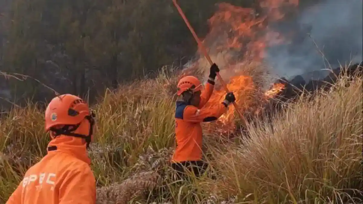 Korban Jiwa Kebakaran Bromo Menjadi Enam Setelah Suraji Meninggal