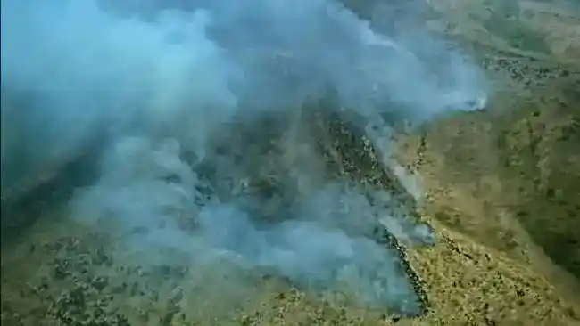 Karhutla Menjangkau Sejumlah Pegunungan, BNPB Catat Empat Gunung Terbakar di Jawa Timur
