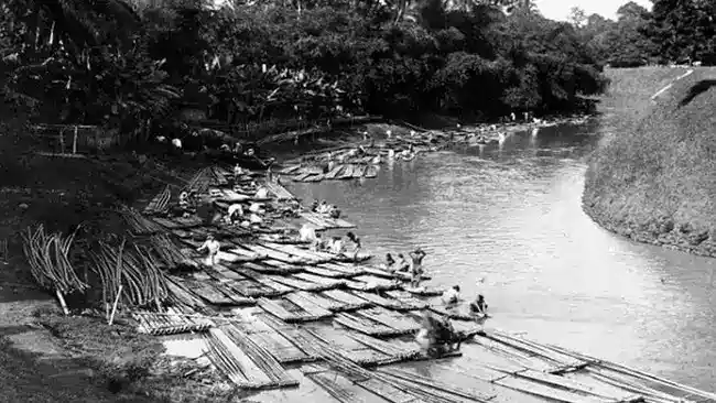 Geger Pecinan 1740: Dari Ketakutan Warga hingga Pembantaian di Batavia