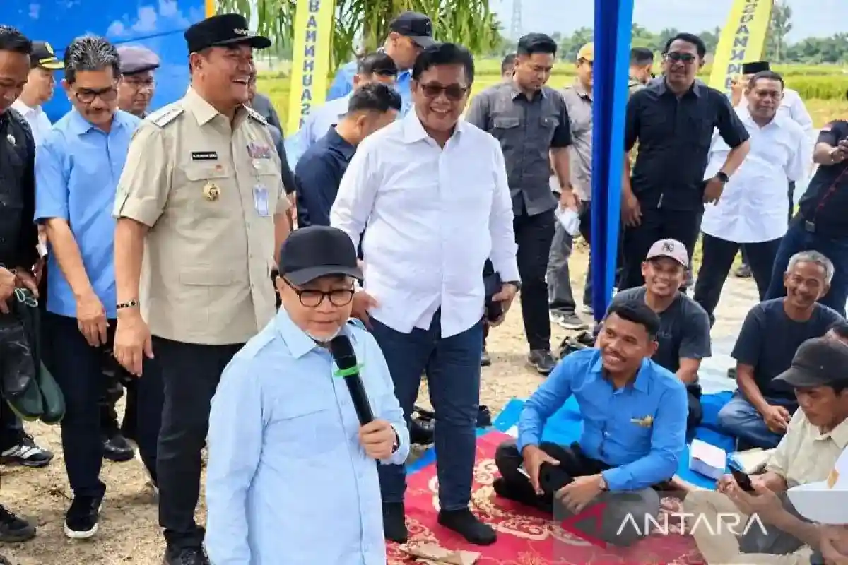 Panen Raya di Batu Bara Jadi Ajang Paparan Strategi Ketahanan Pangan