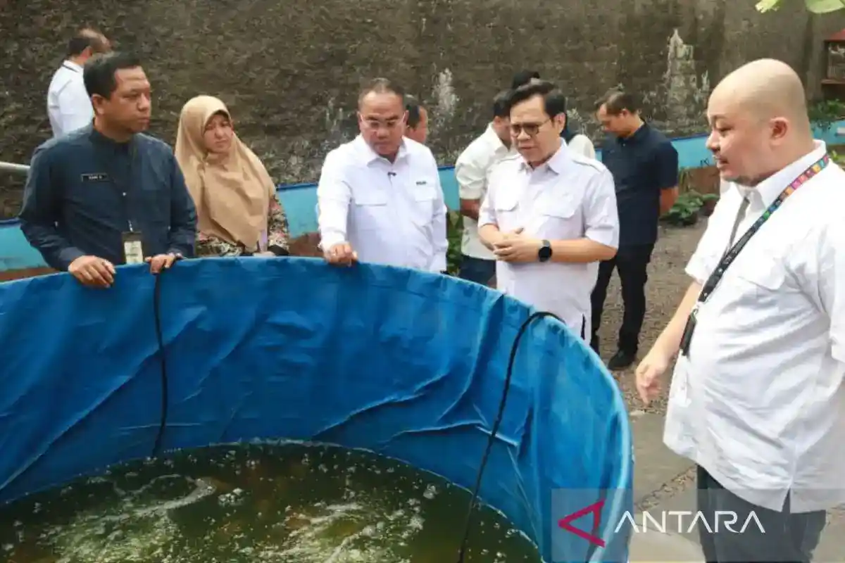 PNM Lansiapreneur Dorong Lansia Jabodetabek Tetap Aktif dan Mandiri