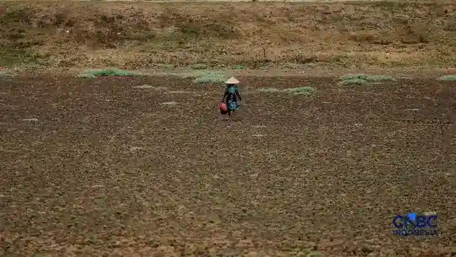 El Niño 2026–2027 dan Risiko Panas Ekstrem: Proyeksi Dampaknya bagi Indonesia