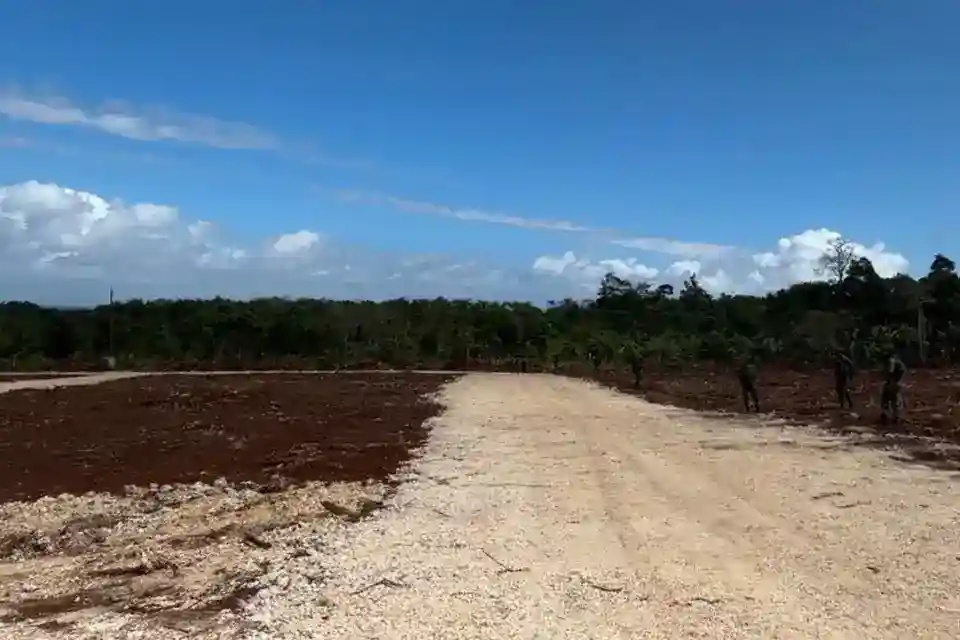 Proyek LNG Abadi Masela: Target Operasi, Kepastian Pasar, dan Skala Pengembangan