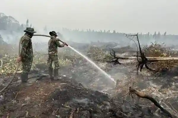 BNPB Catat Karhutla 1.566 Hektare di Kalimantan, Sumatera Selatan Tersisa 23 Hektare