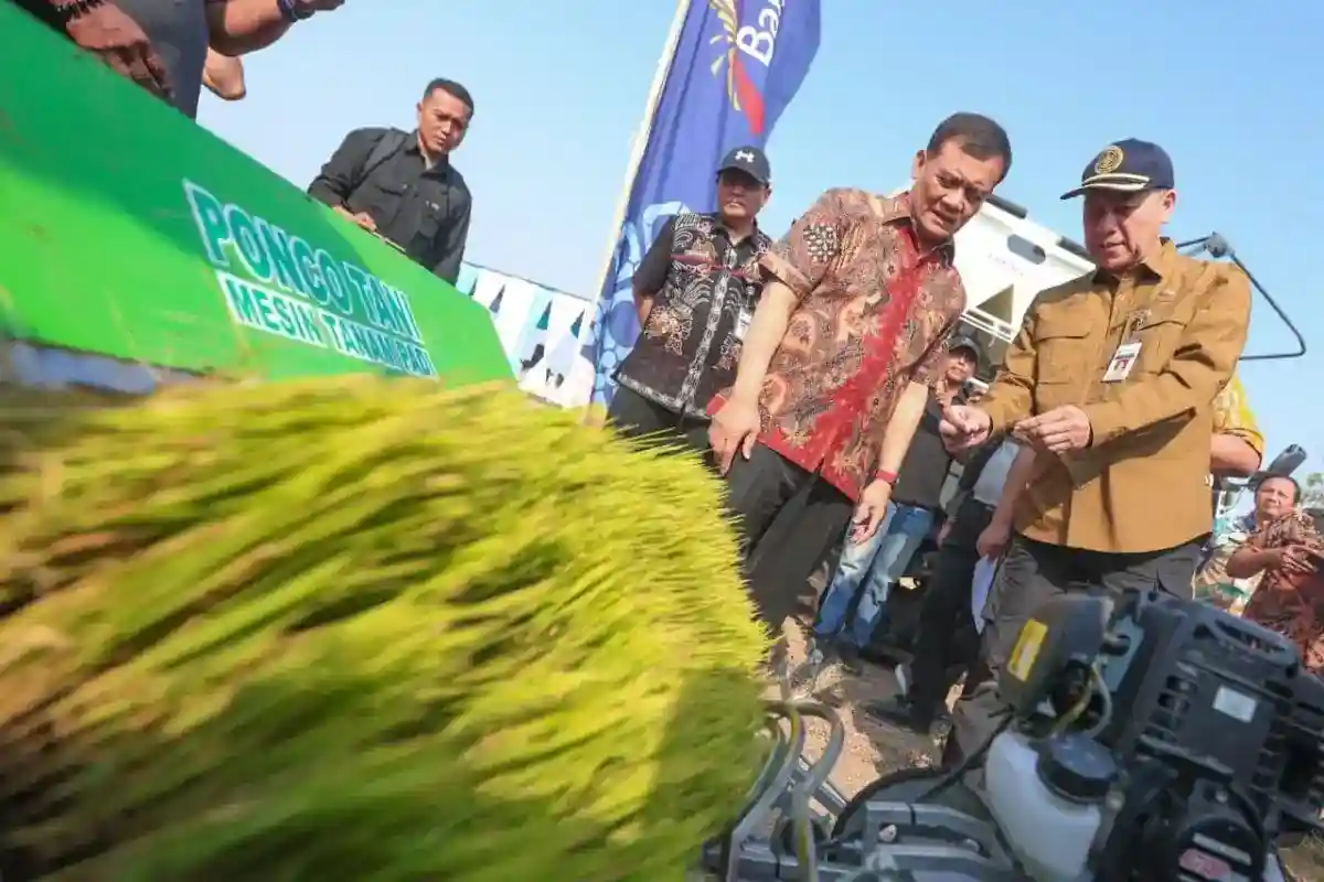 Hujan Jadi Harapan Jateng untuk Memenuhi Sasaran Produksi Padi 2026