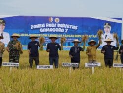 Dandim Bojonegoro damping Bupati Panen Perdana Varietas Unggul Padi Gamagora