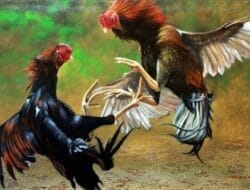 Negara Seolah Absen: Perjudian Bebas Berlangsung di Nganjuk, Penegakan Hukum Dipertanyakan