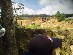 Solar Subsidi Disalahgunakan, Alam Dibabat: Hukum Kemanakah?