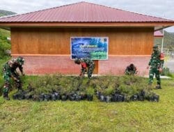 Kodim 1714/Puncak Jaya Bersama Rakyat Tanam Bibit Cemara Sebagai Generasi Mendatang Untuk Kabupaten Puncak Jaya