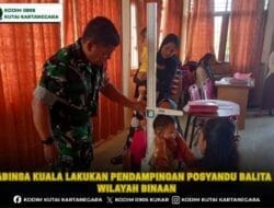 Babinsa Kuala Lakukan Pendampingan Posyandu Balita Di Wilayah Binaan