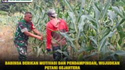 Babinsa Berikan Motivasi dan Pendampingan, Wujudkan Petani Sejahtera