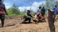 Bedengan Rampung, Lahan Program TMMD di Kampung Keakwa Siap Ditanami