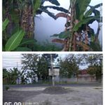 Bau Gas Menyengat dari Gudang PT NESR Bikin Warga Selogabus Keluar Rumah Pagi-Pagi