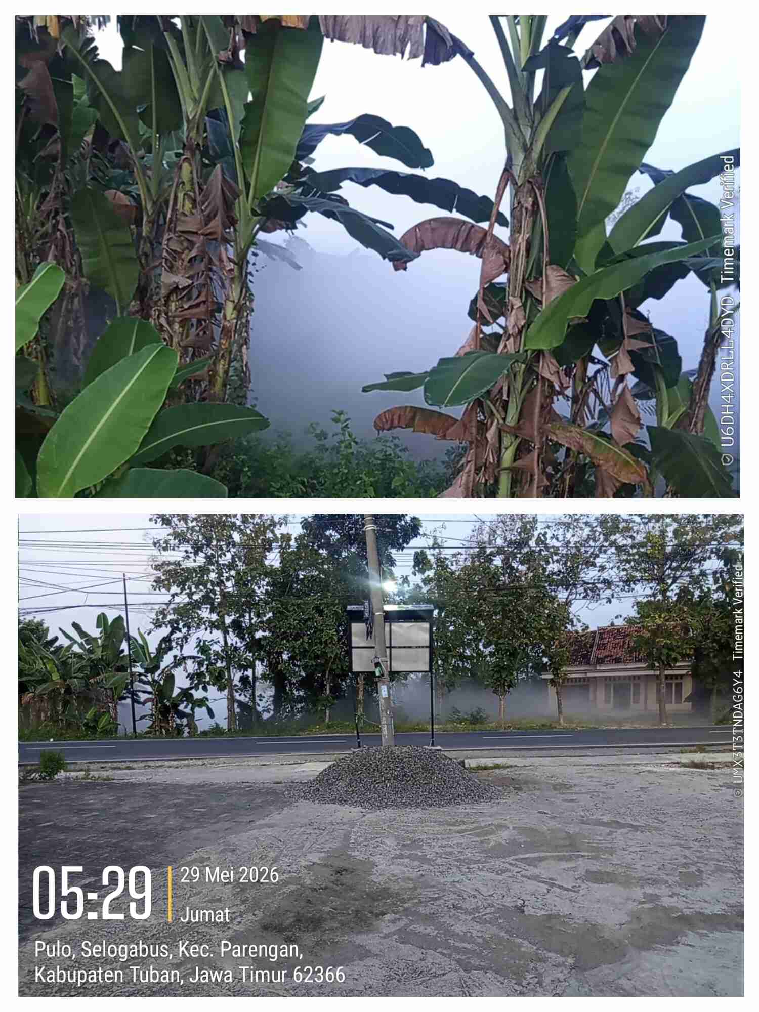 Bau Gas Menyengat dari Gudang PT NESR Bikin Warga Selogabus Keluar Rumah Pagi-Pagi Bau Gas Menyengat dari Gudang PT NESR Bikin Warga Selogabus Keluar Rumah Pagi-Pagi