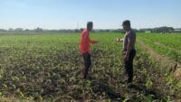 Bhabinkamtibmas Kademangan Pererat Kemitraan dengan Petani Demi Ketahanan Pangan