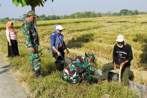 Pembinaan Lingkungan Hidup, Kodim Bojonegoro Tanam Ribuan Pohon Kayu Putih dan Balsa