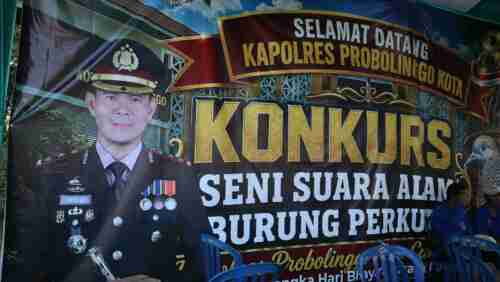 Kapolres Probolinggo Kota Cup 2026 Diikuti 300 Peserta, Jadi Ajang Pelestarian Burung Perkutut Kapolres Probolinggo Kota Cup 2026 Diikuti 300 Peserta, Jadi Ajang Pelestarian Burung Perkutut